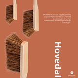 2er Set Handfeger Langer Stiel Kokos