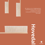 Schneebesen für Auto