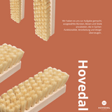 Scheuerbürste - Hovedal - 2er Set